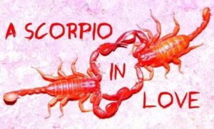Признаки влюбленного скорпиона мужчины