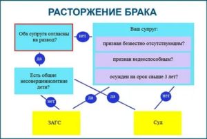 Сколько длится развод если есть ребенок