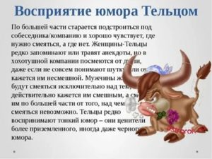 Телец мужчина советы женщине