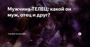 Поведение мужчин тельцов. Парень Телец. Упрямство тельца мужчины. Как вести себя с мужчиной тельцом. Муж Телец какой он.