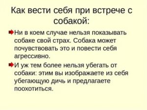 Встреча с бывшим парнем как себя вести