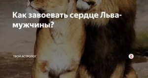 Как мужчина лев добивается женщину