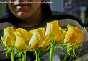 Желтые цветы к чему дарит мужчина