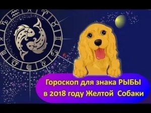 Рыба собака гороскоп