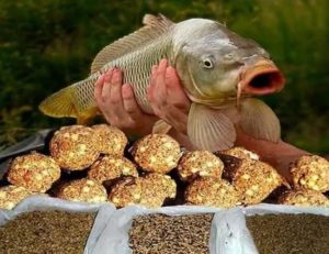 Как приманить рыбу