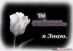 Ты особенная девушка