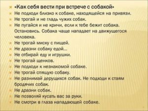 Встреча с бывшим парнем как себя вести