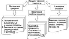 Психология с нуля с чего начать