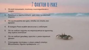 Факты о раках мужчинах