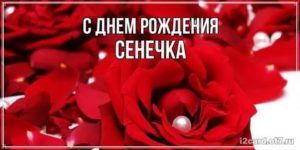 Сенечка имя