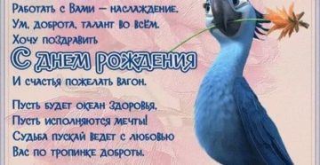 Шуточные пожелания коллегам по работе